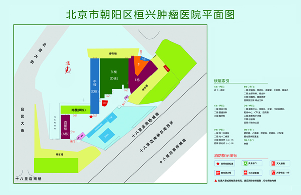 操鸡巴视频网站大全北京市朝阳区桓兴肿瘤医院平面图